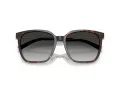 Tiffany Lunettes de Soleil TF 4244D 80153C