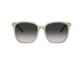 Tiffany Lunettes de Soleil TF 4244D 82503C
