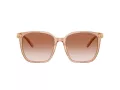 Tiffany Lunettes de Soleil TF 4244D 826813