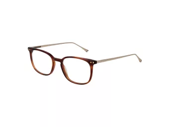 Taylor Morris Lunettes de Vue TM 06 C2