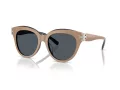 Tory Burch Lunettes de Soleil TY 7209U 193987