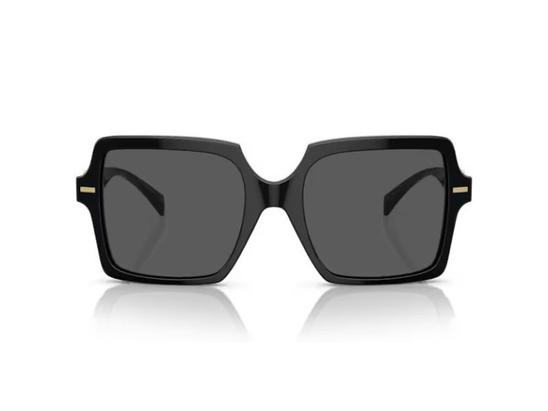 Versace Lunettes de Soleil VE 0VE4441 GB1/87
