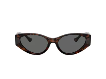 Versace Lunettes de Soleil VE 0VE4454 542987