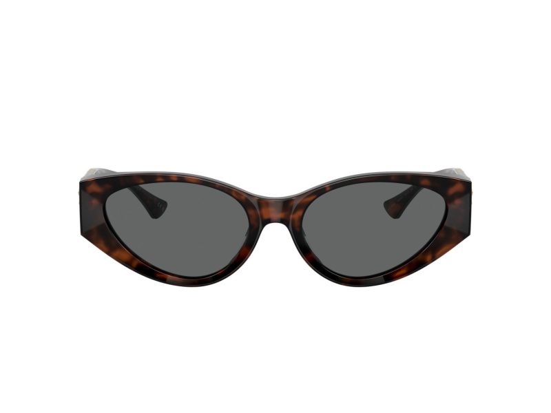Versace Lunettes de Soleil VE 0VE4454 542987