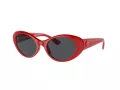Versace Lunettes de Soleil VE 4455U 534487