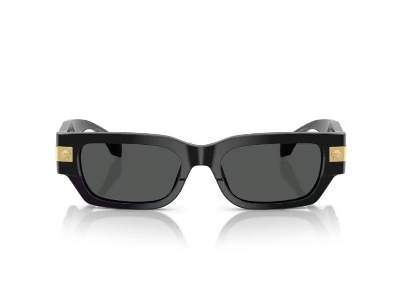 Versace Lunettes de Soleil VE 4465 GB1/87
