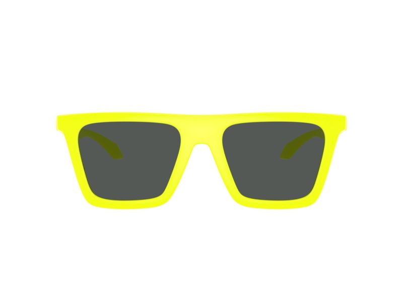 Versace Lunettes de Soleil VE 4468U 544987
