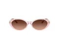 Versace Lunettes de Soleil VE 4469 54725M