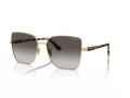 Vogue Lunettes de Soleil VO 4199S 51988G