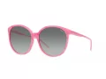 Vogue Lunettes de Soleil VO 5509S 307811