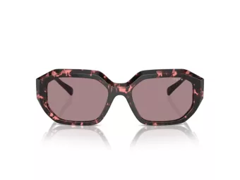 Vogue Lunettes de Soleil VO 5554S 31487N