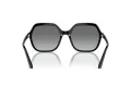 Vogue Lunettes de Soleil VO 5561S W44/11