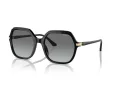 Vogue Lunettes de Soleil VO 5561S W44/11