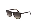 Web Lunettes de Soleil WE 0363 56B