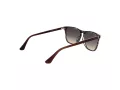 Web Lunettes de Soleil WE 0363 56B