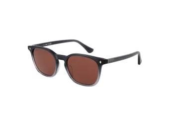 Web Lunettes de Soleil WE 0364 20S