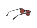 Web Lunettes de Soleil WE 0364 20S