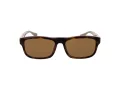 Web Lunettes de Soleil WE 0371 56J