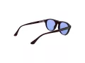 Web Lunettes de Soleil WE 0377 92V