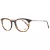 Web Lunettes de Vue WE 5246 053