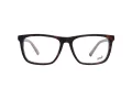 Web Lunettes de Vue WE 5261 B56