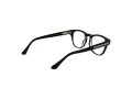 Web Lunettes de Vue WE 5384 005