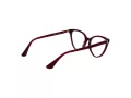 Web Lunettes de Vue WE 5388 069