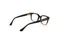 Web Lunettes de Vue WE 5397 052