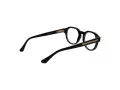 Web Lunettes de Vue WE 5421 050