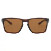 Lunettes de soleil marron